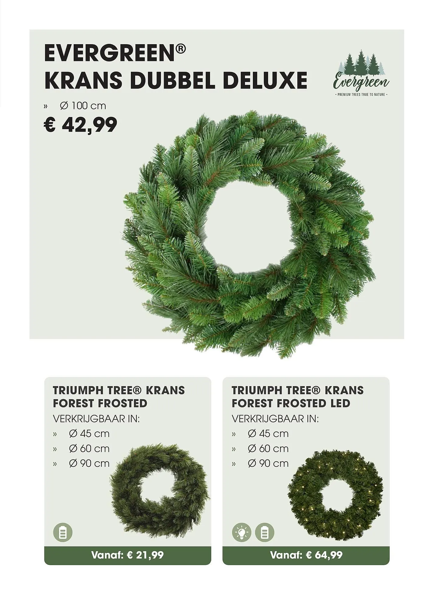 Coppelmans kerstbomencatalogus van 12 november tot 24 december 2025 - Folder pagina 40