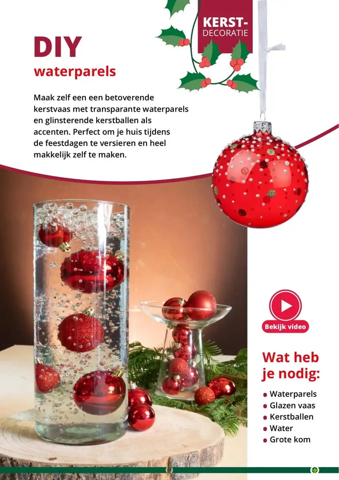 GroenRijk folder van 1 november tot 26 december 2023 - Folder pagina 11