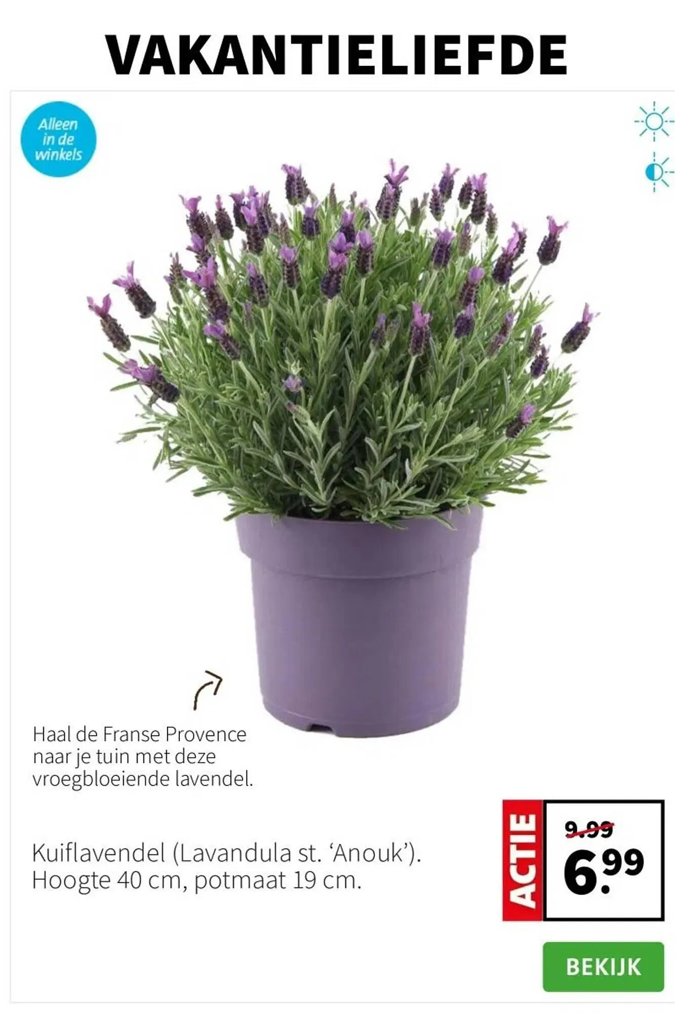 Intratuin folder van 14 juli tot 20 juli 2025 - Folder pagina 5