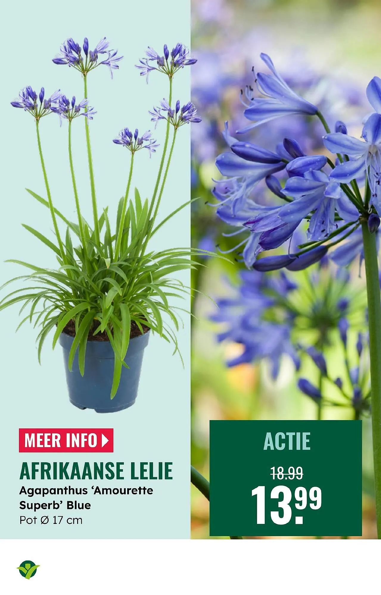 GroenRijk folder van 28 mei tot 3 juni 2025 - Folder pagina 7