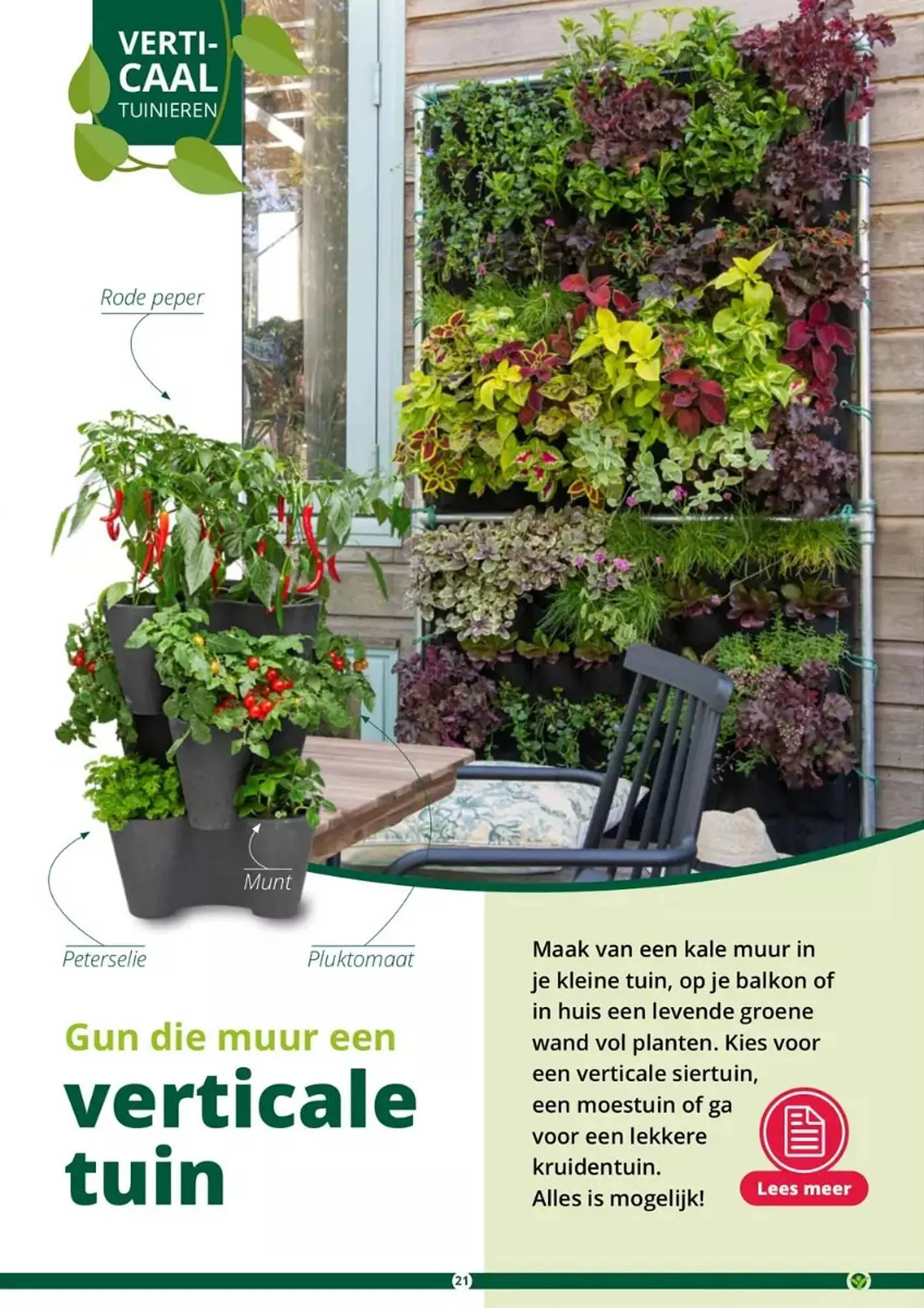GroenRijk folder van 17 mei tot 31 augustus 2023 - Folder pagina 21
