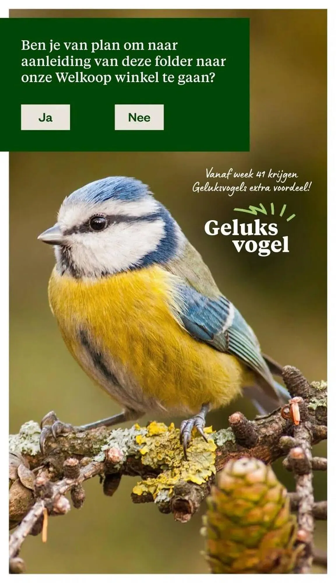 Welkoop folder van 29 september tot 5 oktober 2025 - Folder pagina 34