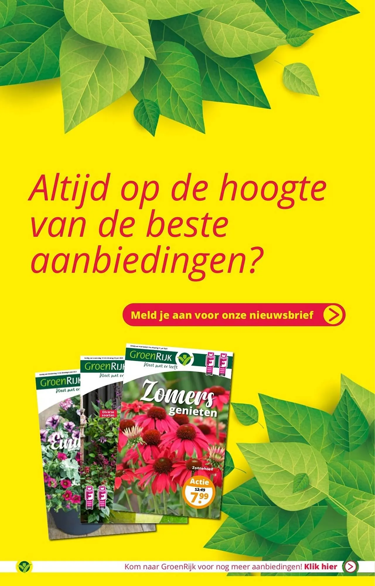 GroenRijk folder van 1 augustus tot 15 augustus 2023 - Folder pagina 13