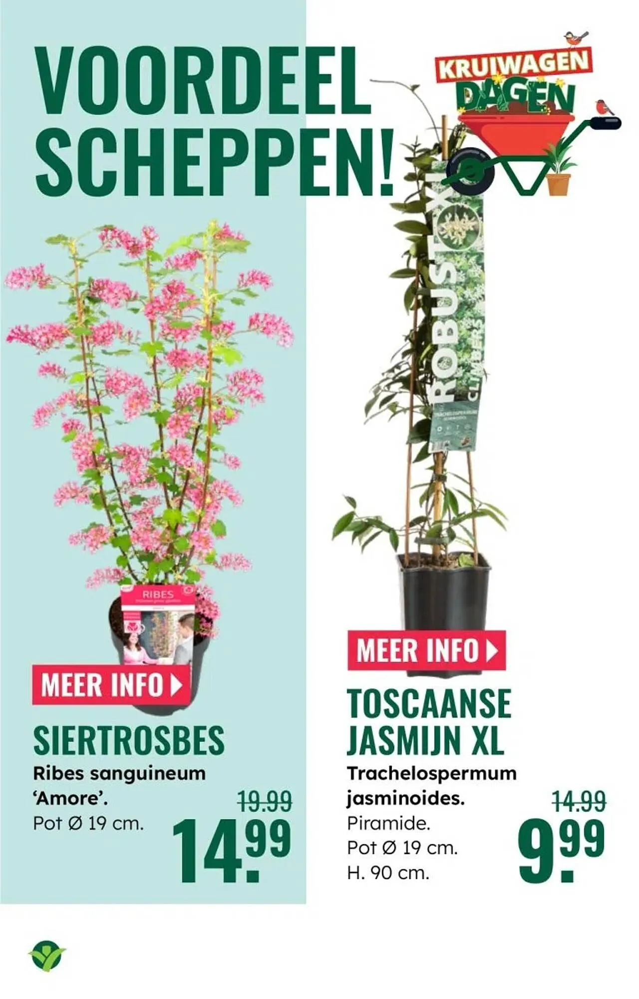 GroenRijk folder van 5 maart tot 11 maart 2026 - Folder pagina 6