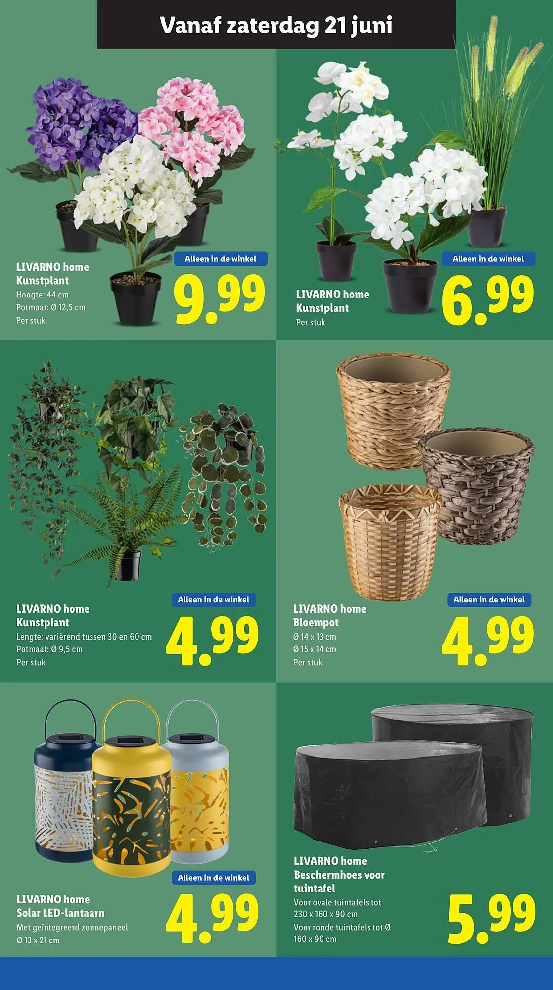 Lidl folder van 16 juni tot 22 juni 2025 - Folder pagina 14