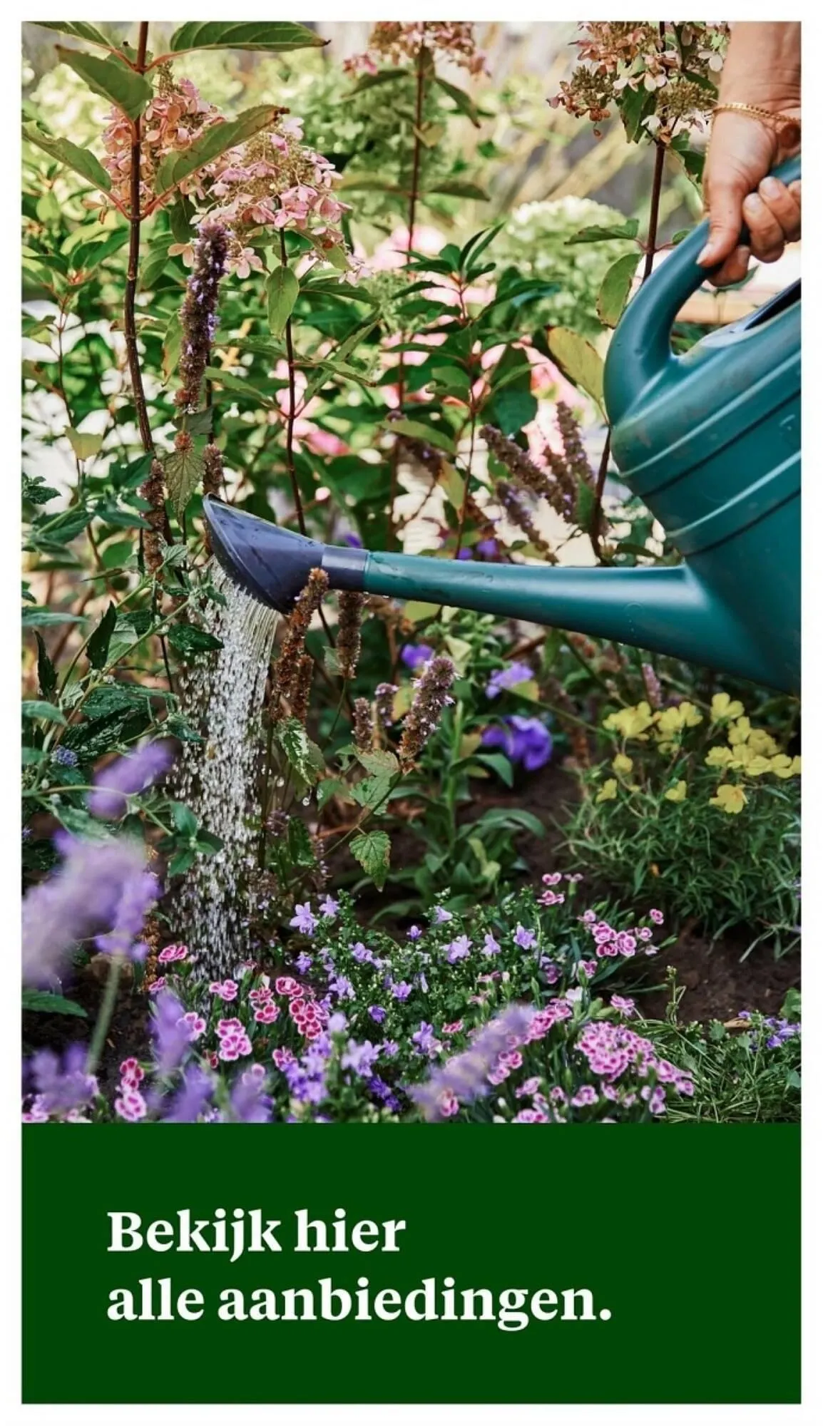 Welkoop folder van 22 april tot 5 mei 2024 - Folder pagina 36