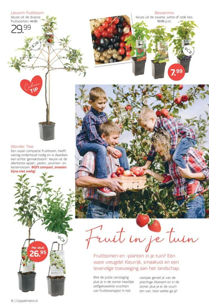 Moederdag special van 1 mei tot 15 mei 2024 - Folder pagina 10