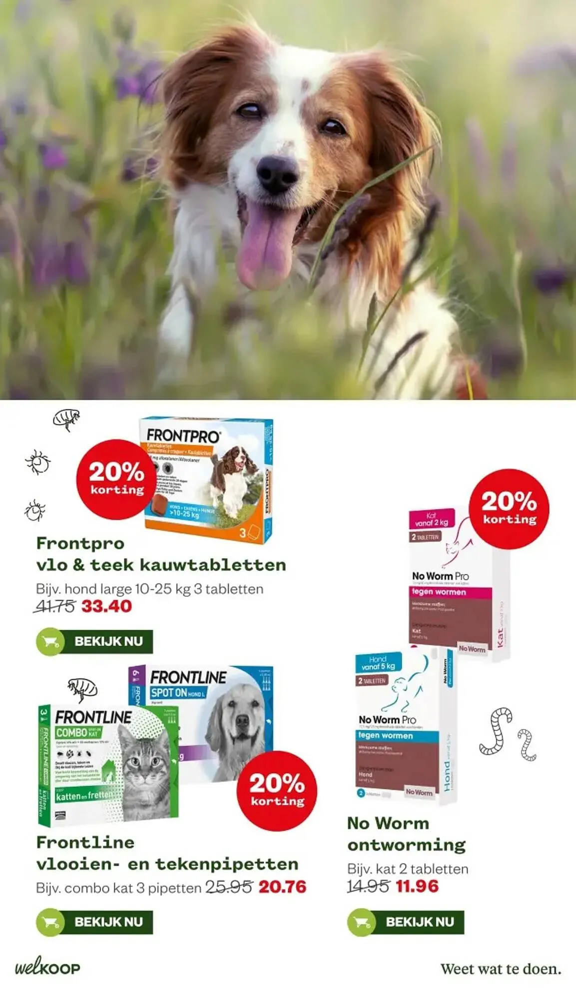 Welkoop folder van 16 februari tot 1 maart 2026 - Folder pagina 19