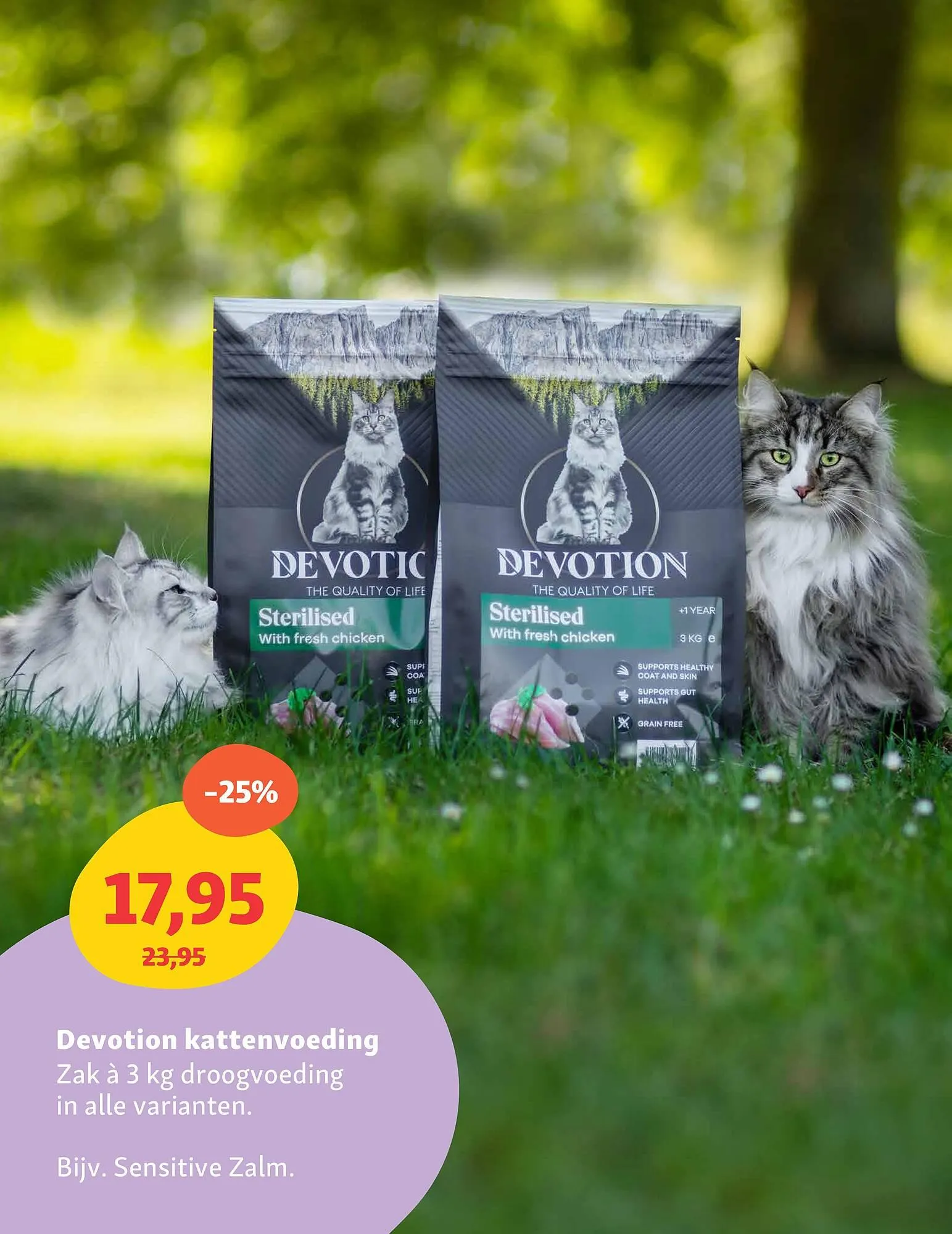 Maxi Zoo folder van 26 mei tot 1 juni 2025 - Folder pagina 17