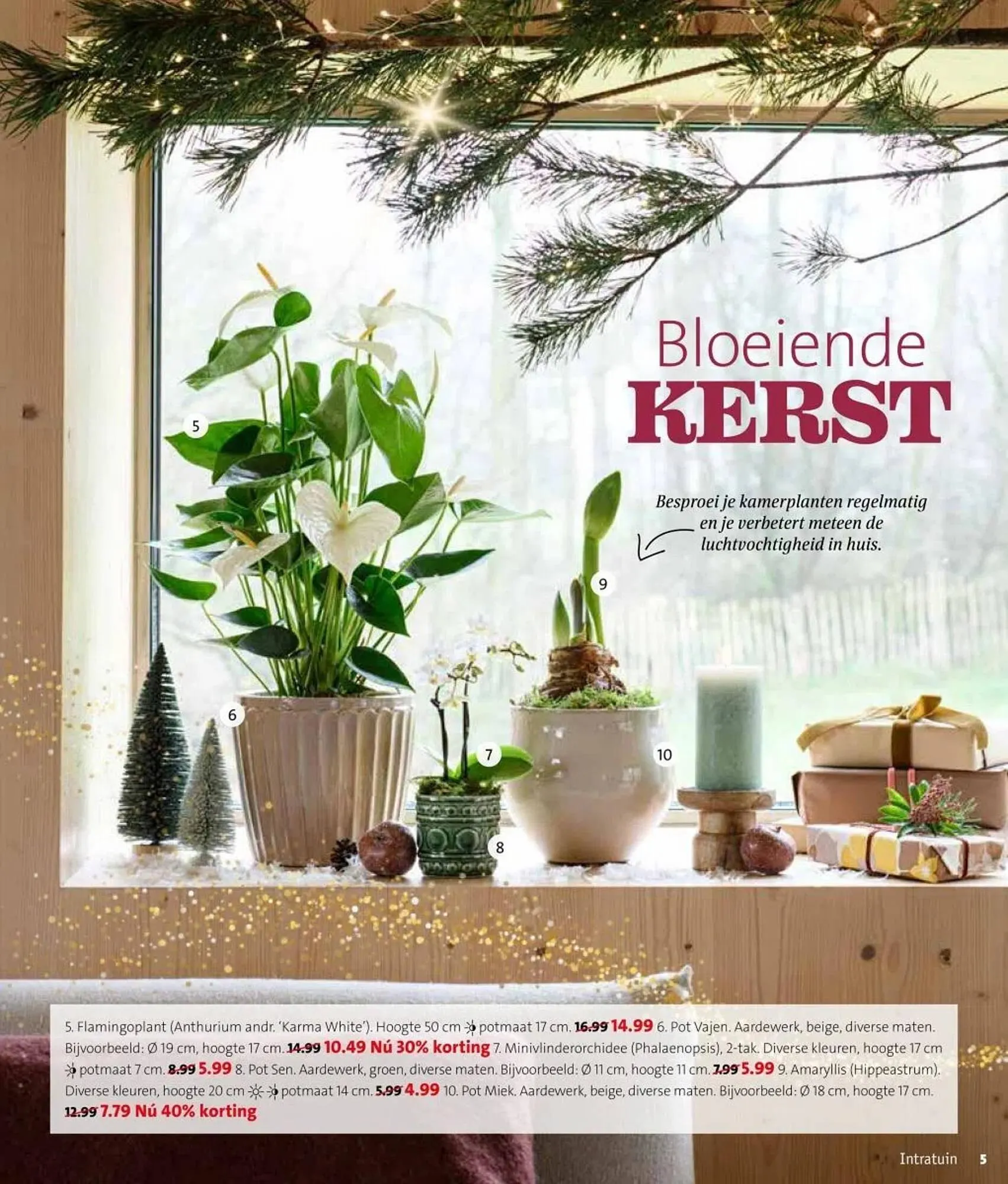 Intratuin folder van 17 november tot 23 november 2025 - Folder pagina 5