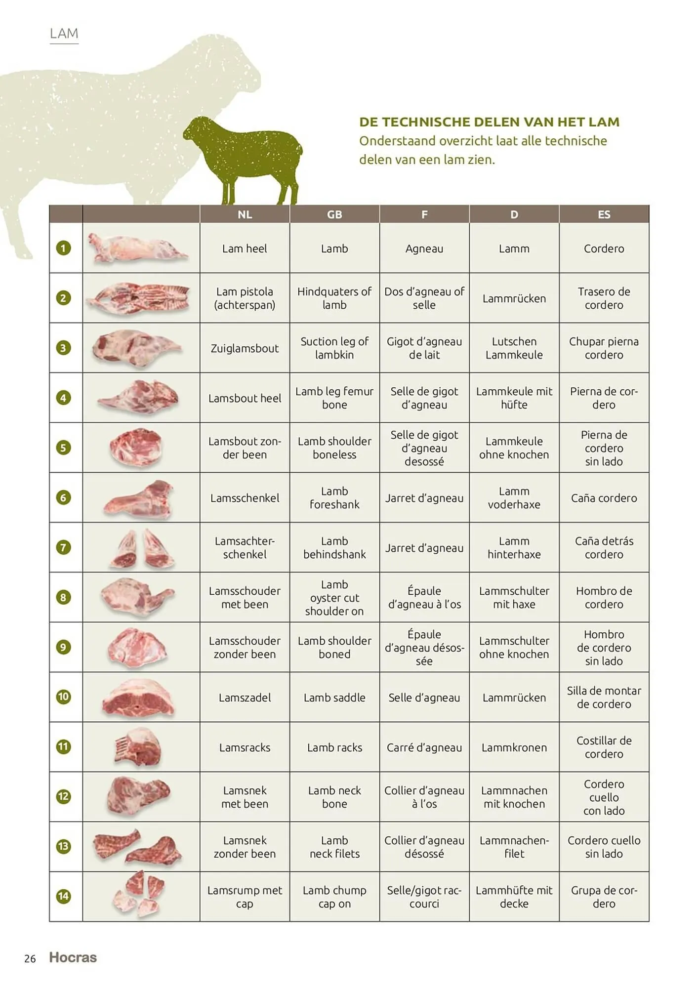 Hocras Vlees folder van 15 februari tot 31 december 2023 - Folder pagina 26