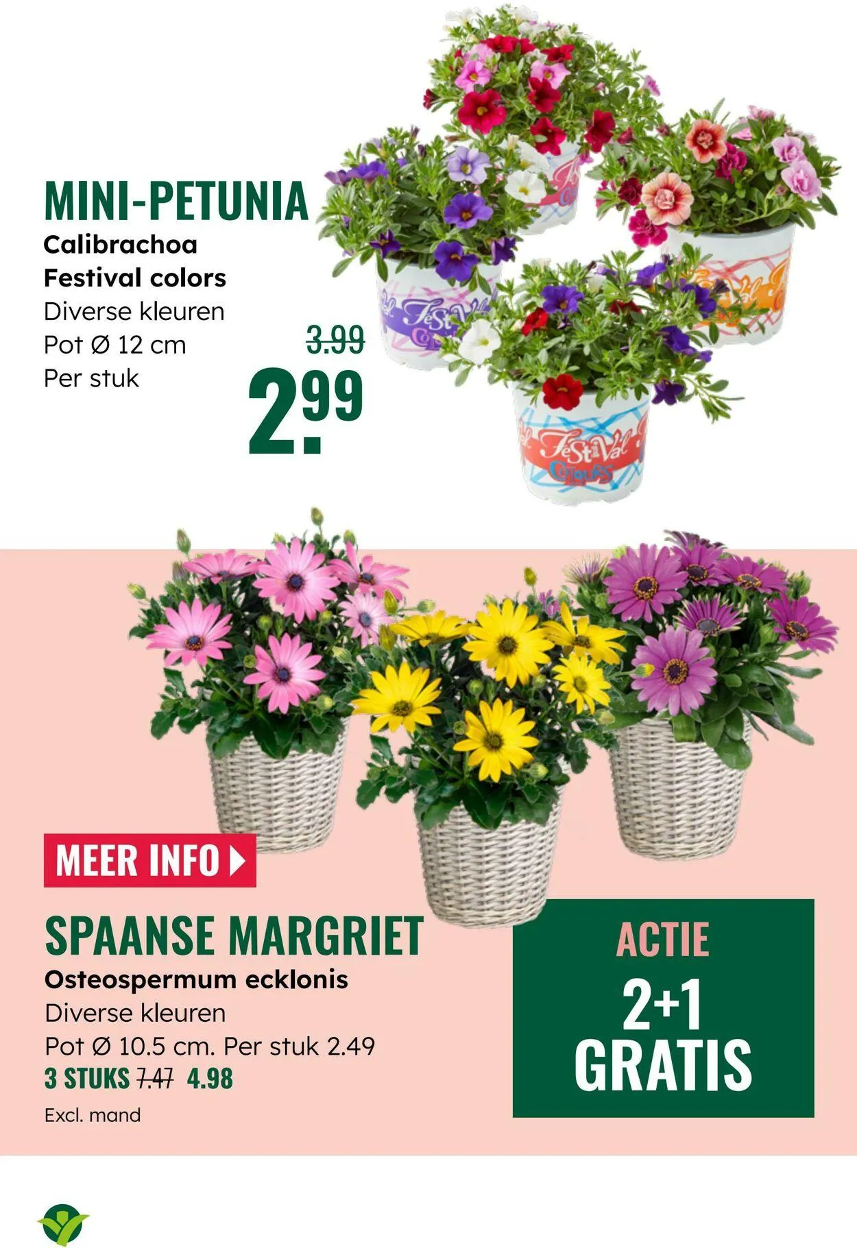 GroenRijk Actuele folder van 8 juli tot 22 juli 2025 - Folder pagina 6