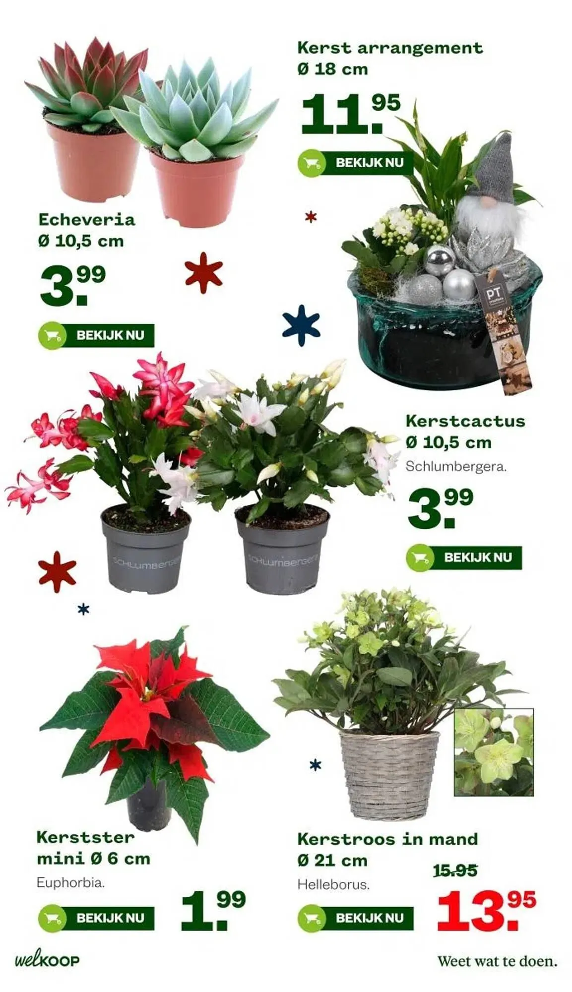 Welkoop folder van 17 november tot 23 november 2025 - Folder pagina 14
