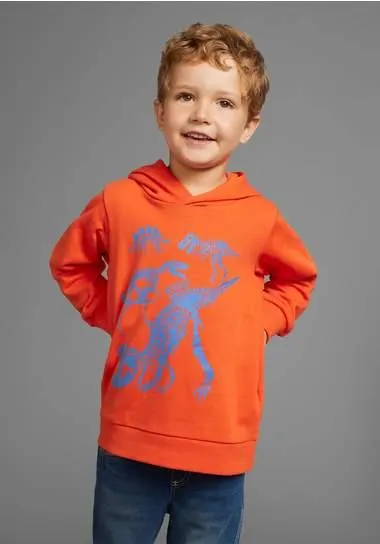 KIDSWORLD Hoodie Dino Lange mouwen, basic pasvorm, met stijlvolle print, van katoen