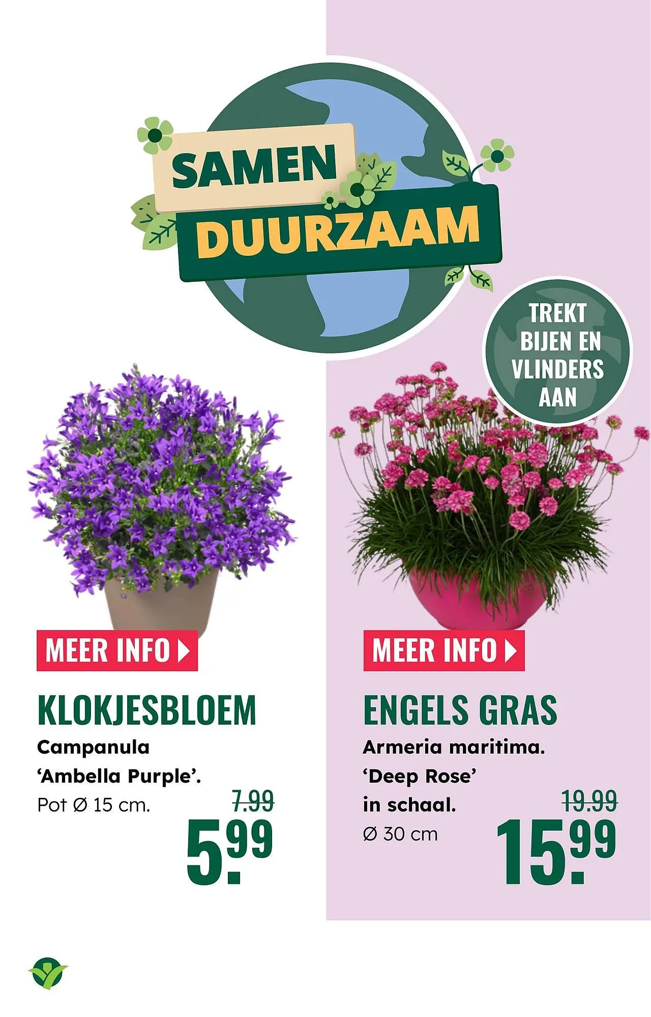 GroenRijk folder van 2 april tot 8 april 2026 - Folder pagina 21