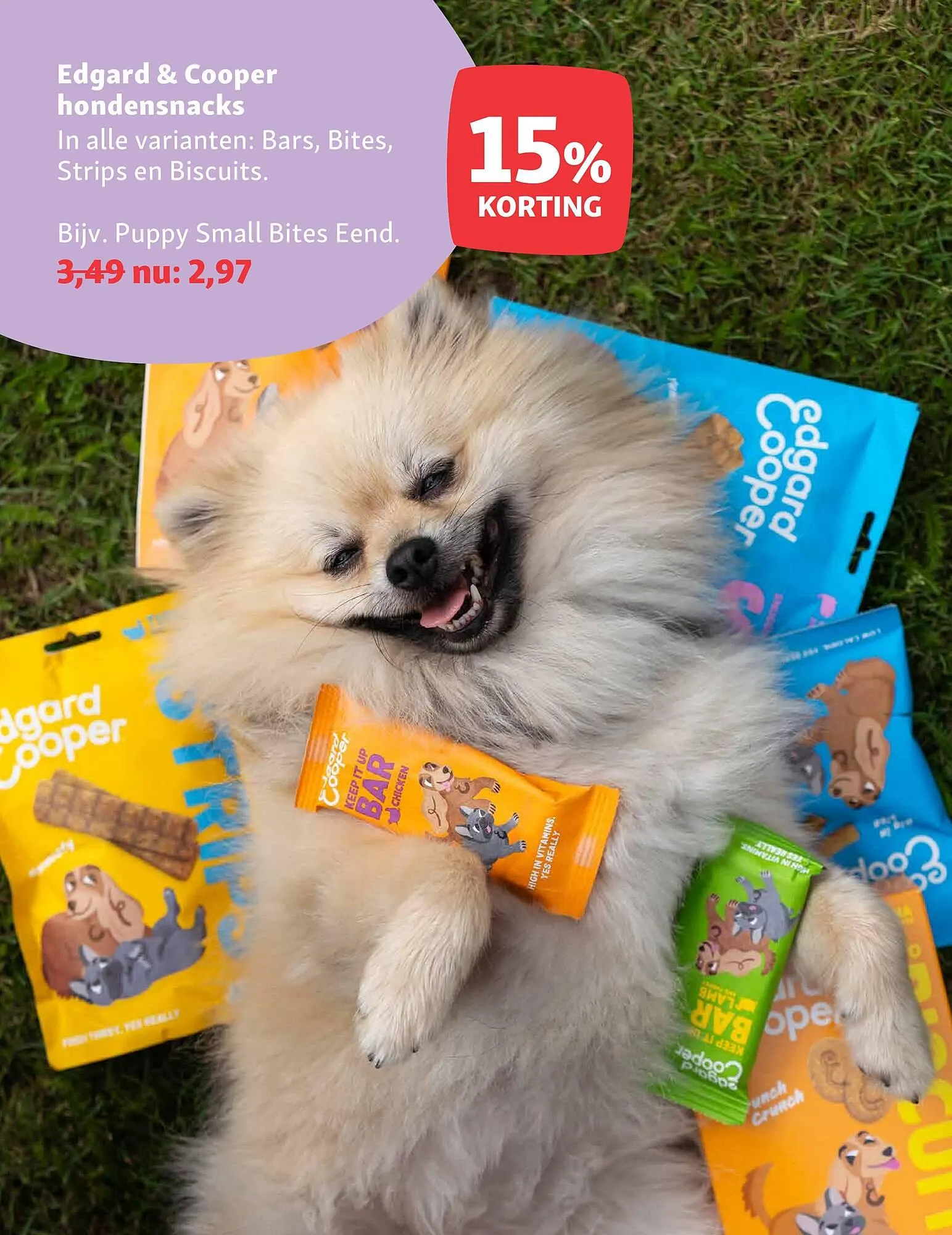 Maxi Zoo folder van 15 december tot 28 december 2025 - Folder pagina 6