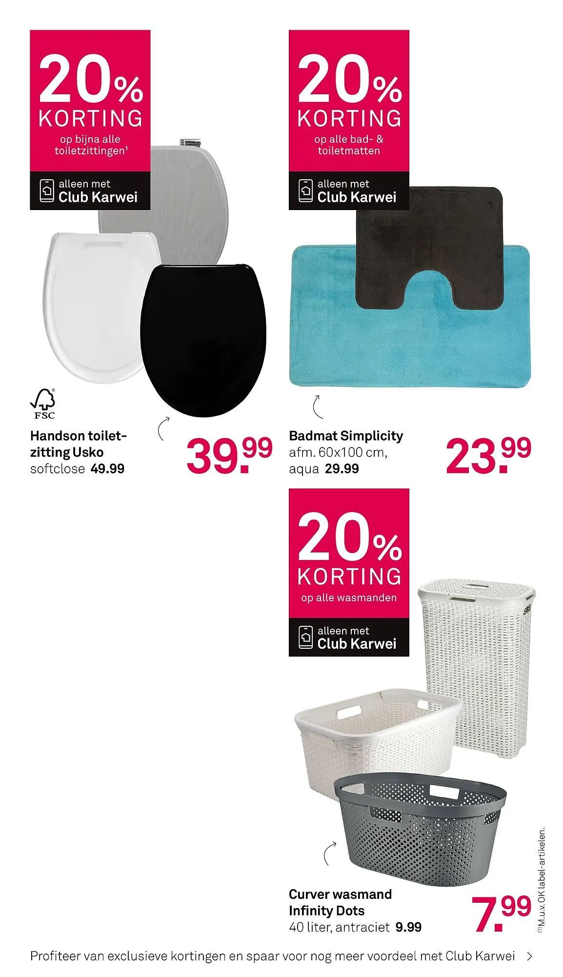 Karwei folder van 26 januari tot 1 februari 2026 - Folder pagina 31