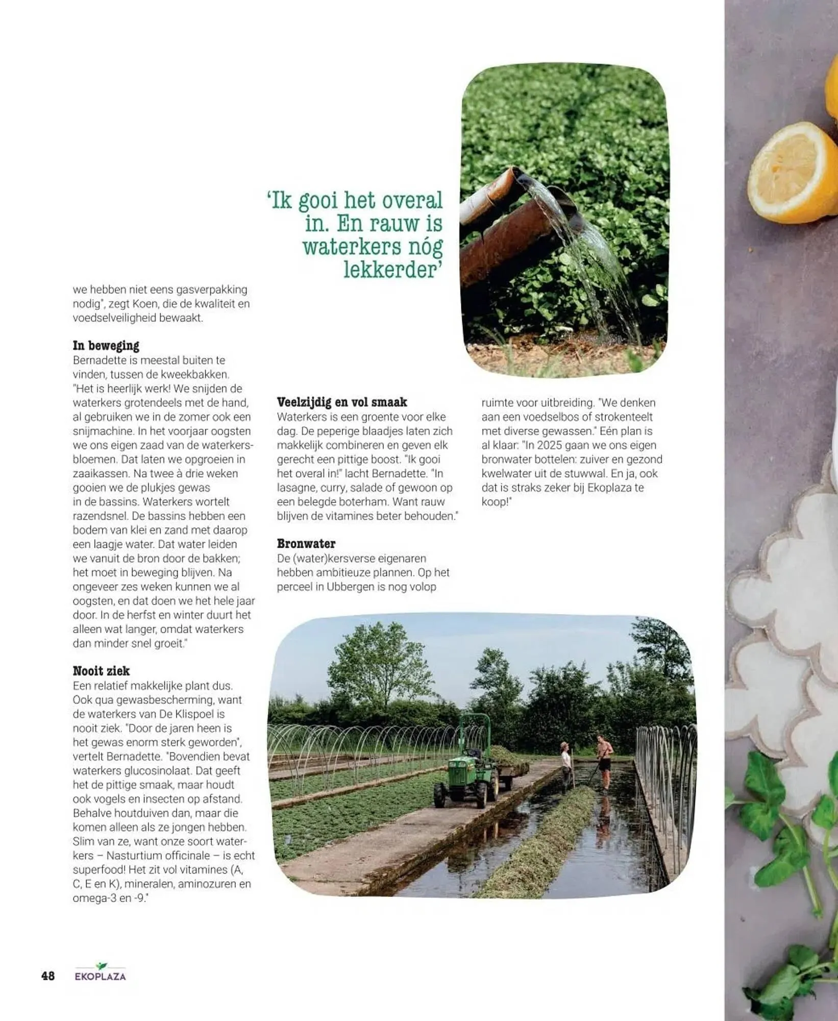 Ekoplaza folder van 19 maart tot 29 april 2025 - Folder pagina 48