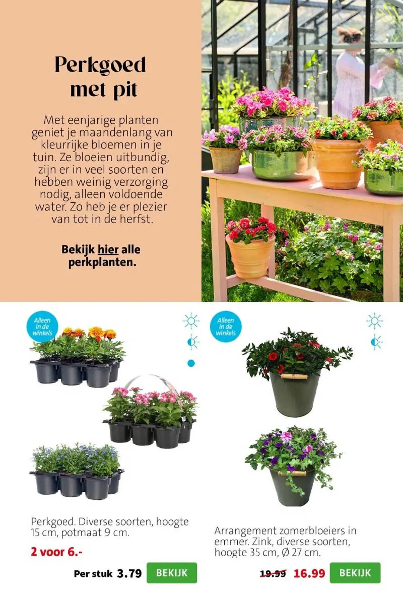 Intratuin folder van 20 april tot 26 april 2026 - Folder pagina 5