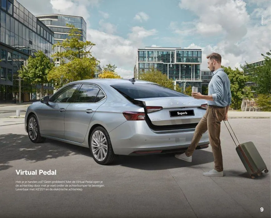 Brochure van 20 maart tot 20 maart 2025 - Folder pagina 31