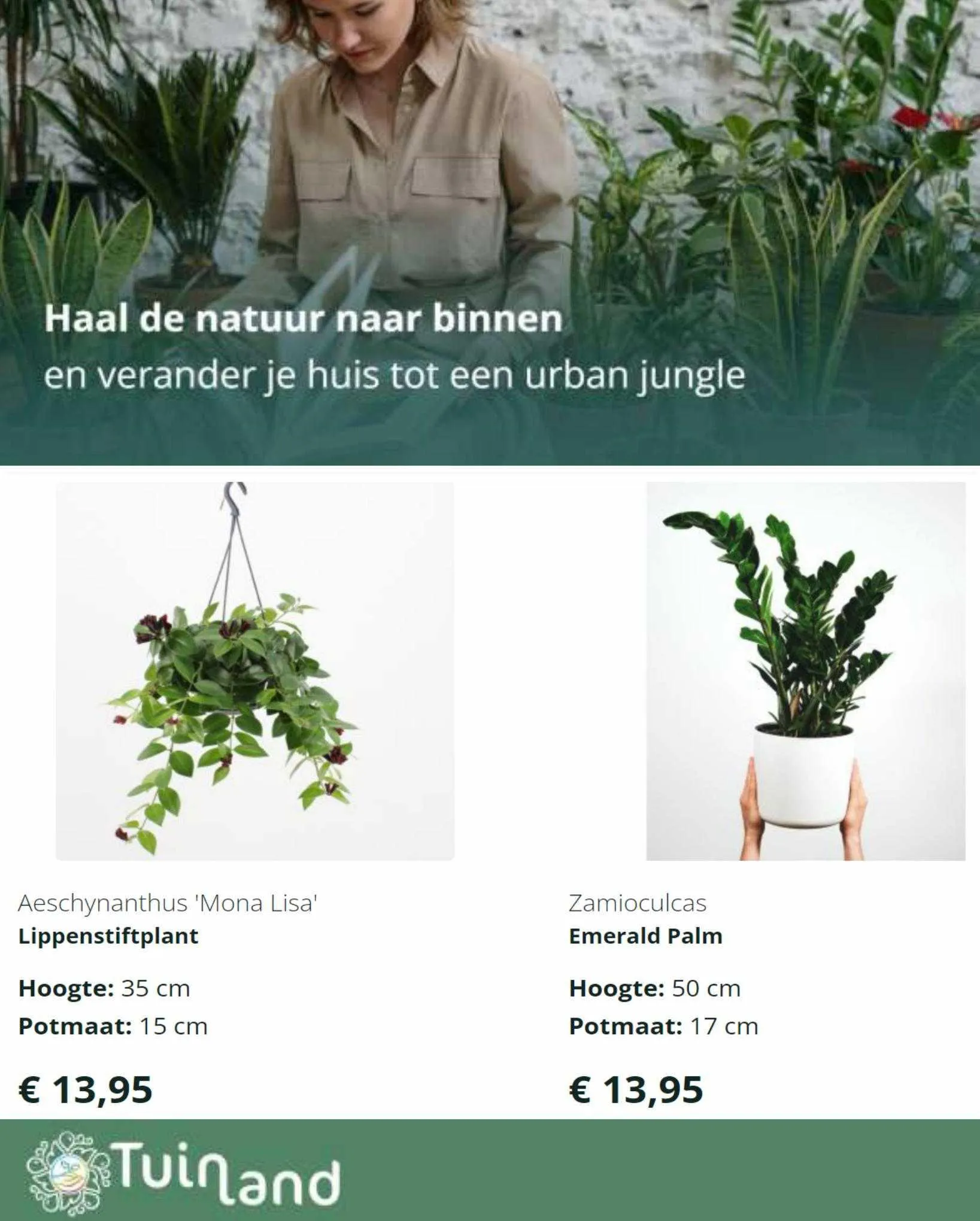 Tuinland Folder van 22 december tot 1 oktober 2023 - Folder pagina 4