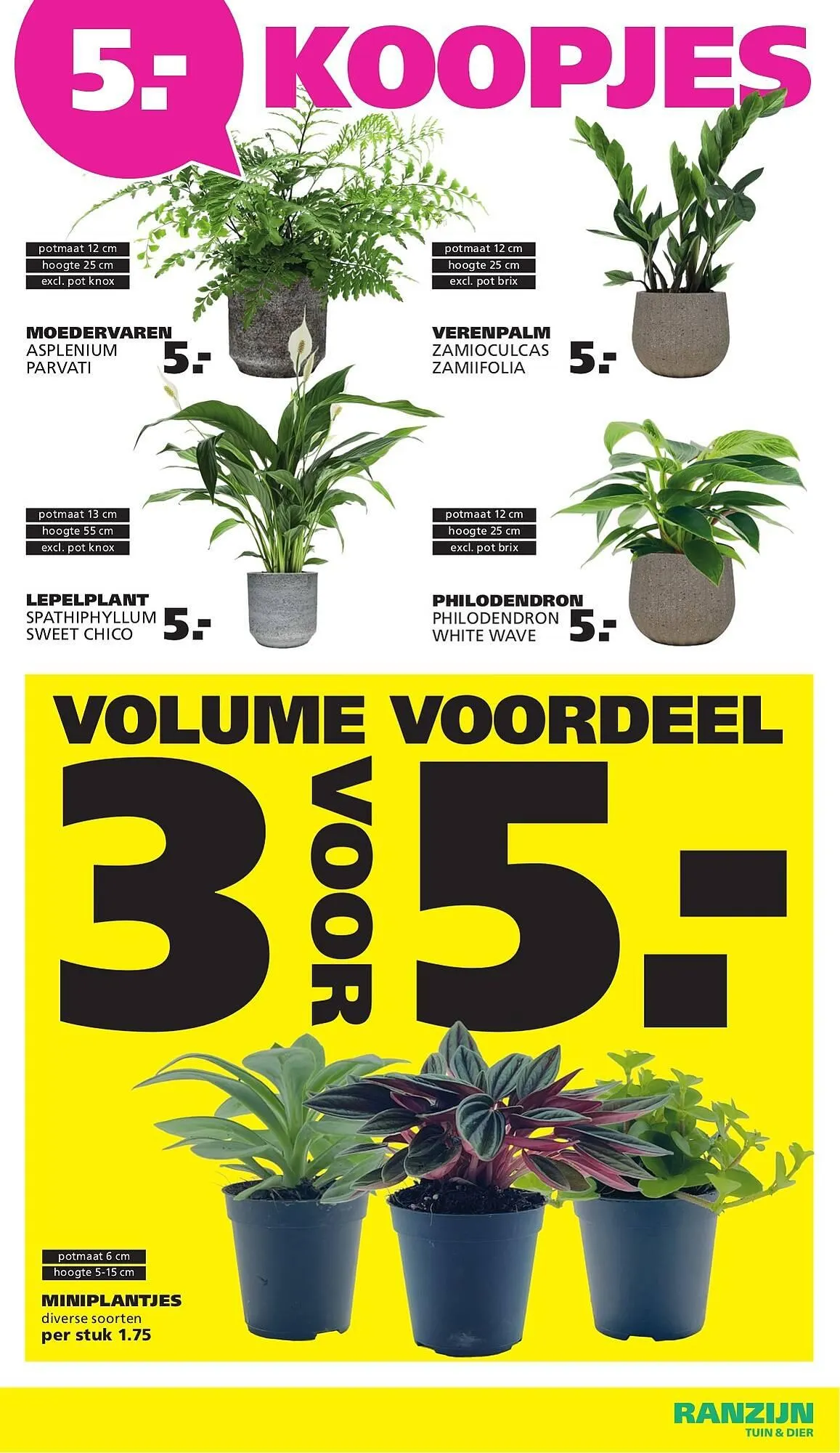 Ranzijn folder van 8 maart tot 21 maart 2026 - Folder pagina 4