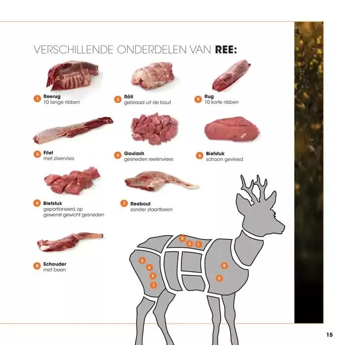 Wildbrochure 2024/2025 van 25 september tot 25 september 2025 - Folder pagina 15