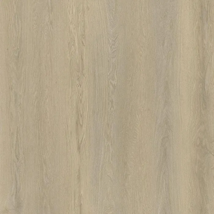 Gulvprøve Korkvinyl Eik Tauri SPC Element