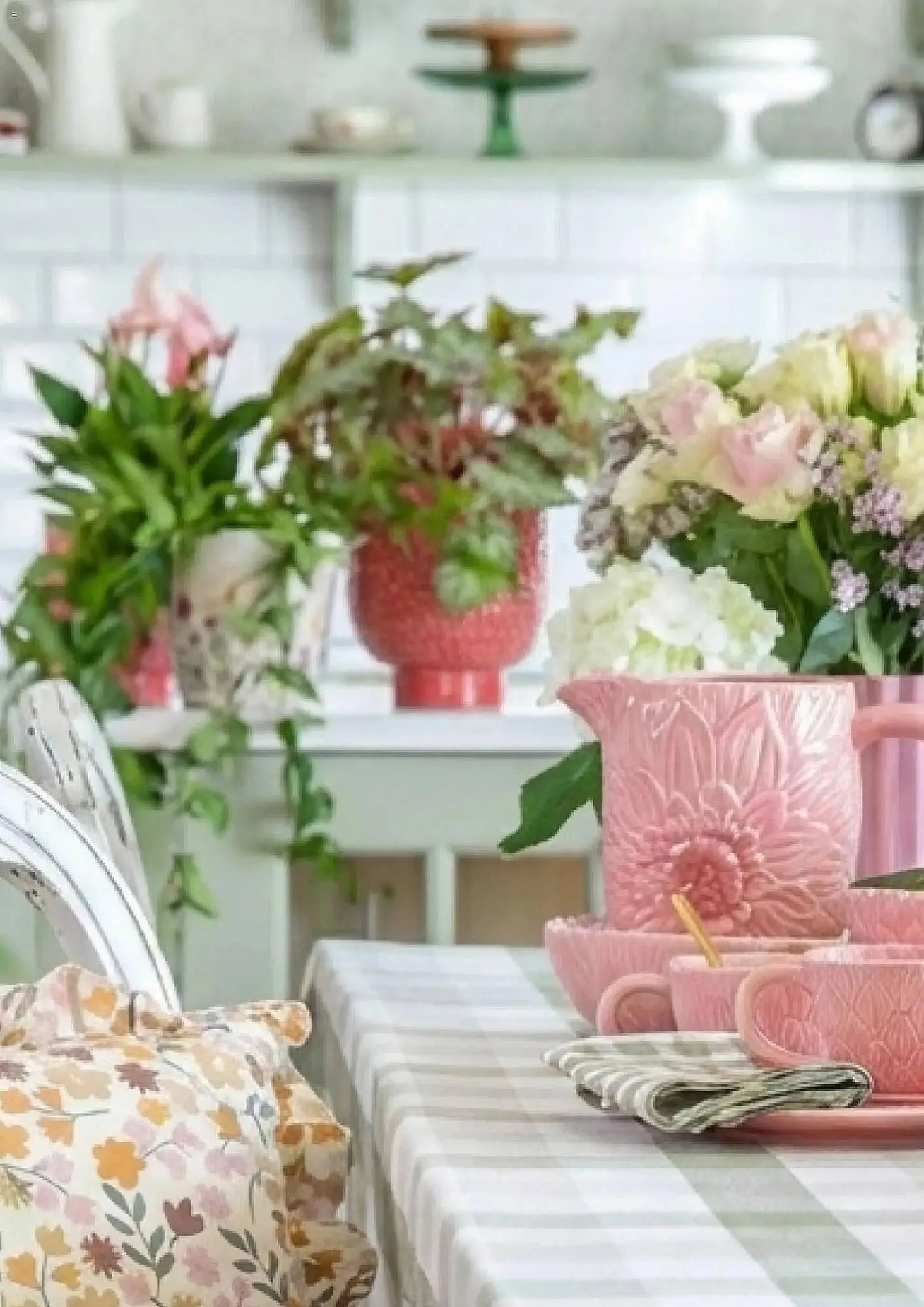 Plantasjen kundeavis fra 8. januar til 3. april 2026 - kundeavisside 8