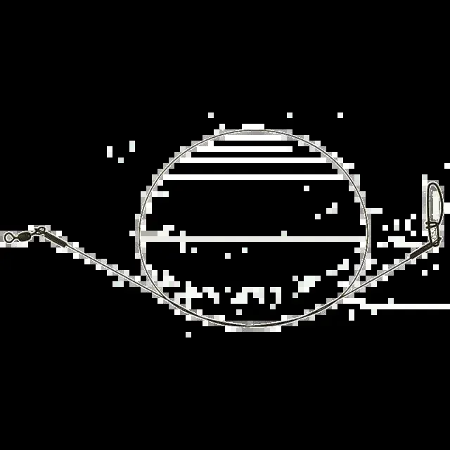 BFT Nylon Coated Wire Leader 30lbs