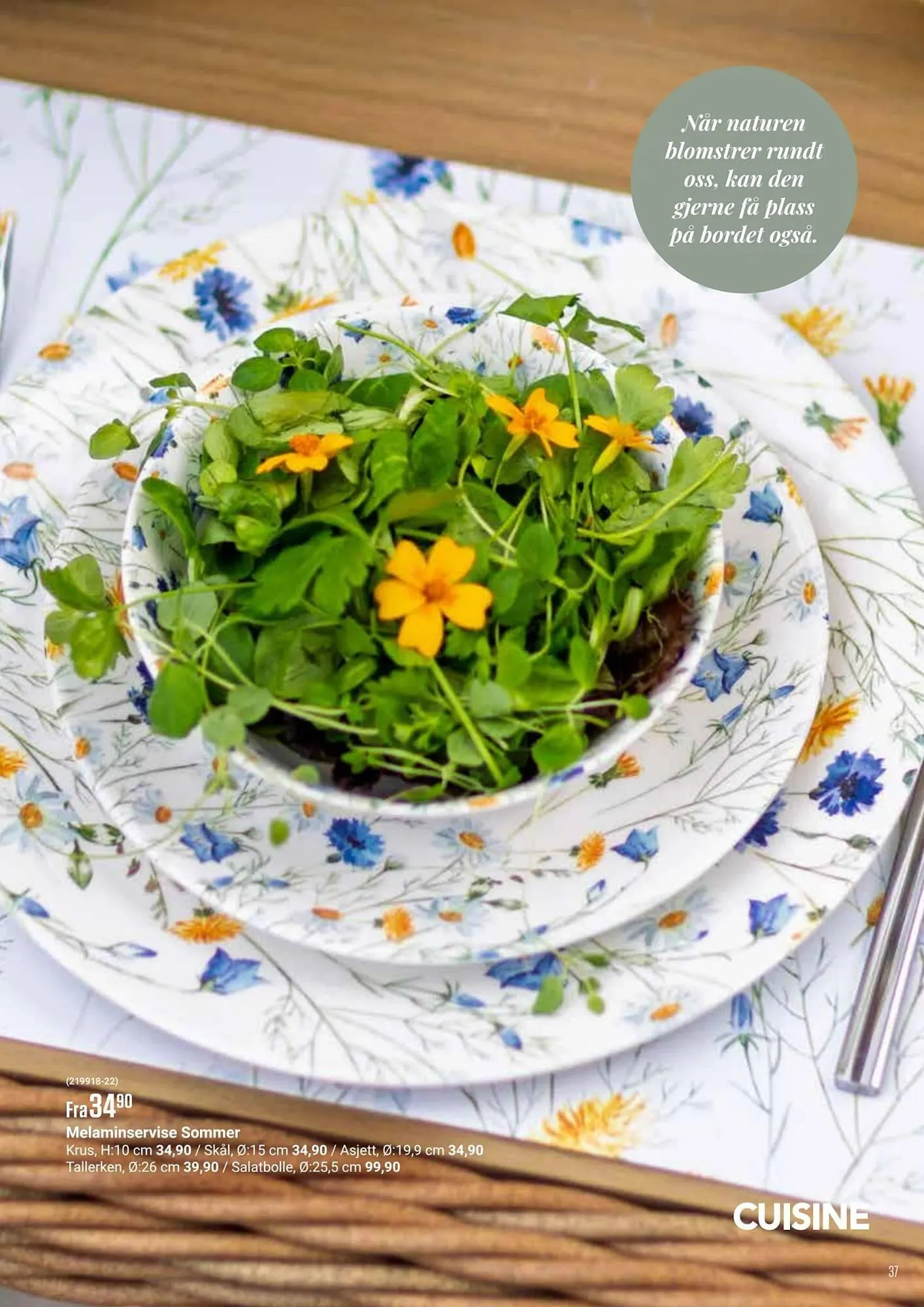 Europris kundeavis fra 10. april til 1. juli 2026 - kundeavisside 37