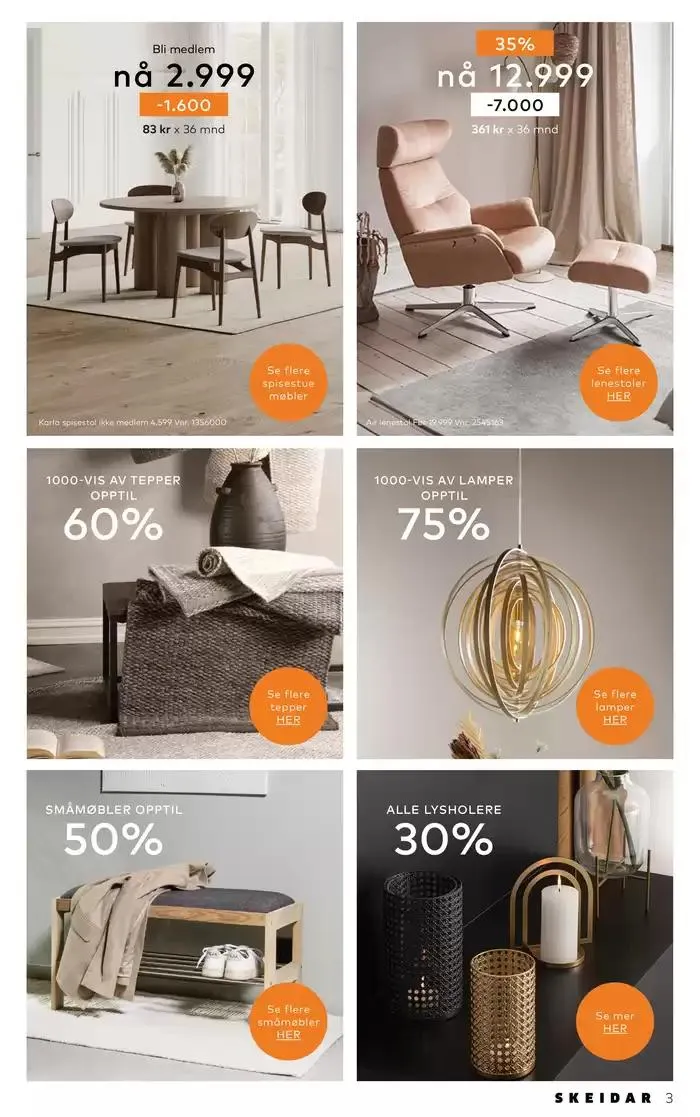Skeidar Kundeavis fra 12. februar til 26. februar 2025 - kundeavisside 3