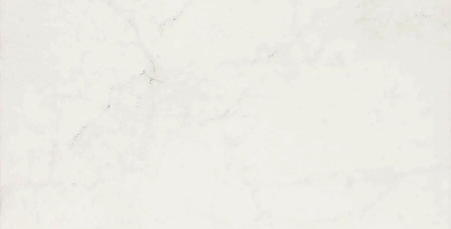 Allmarble Altissimo Ret. 60×120 cm