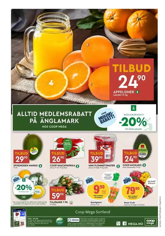 Aktuelle kupp og tilbud fra 6. januar til 12. januar 2025 - kundeavisside 8