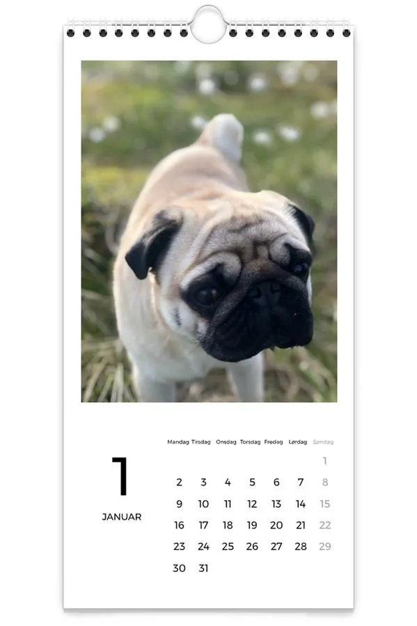 Veggkalender | Smal | Tall