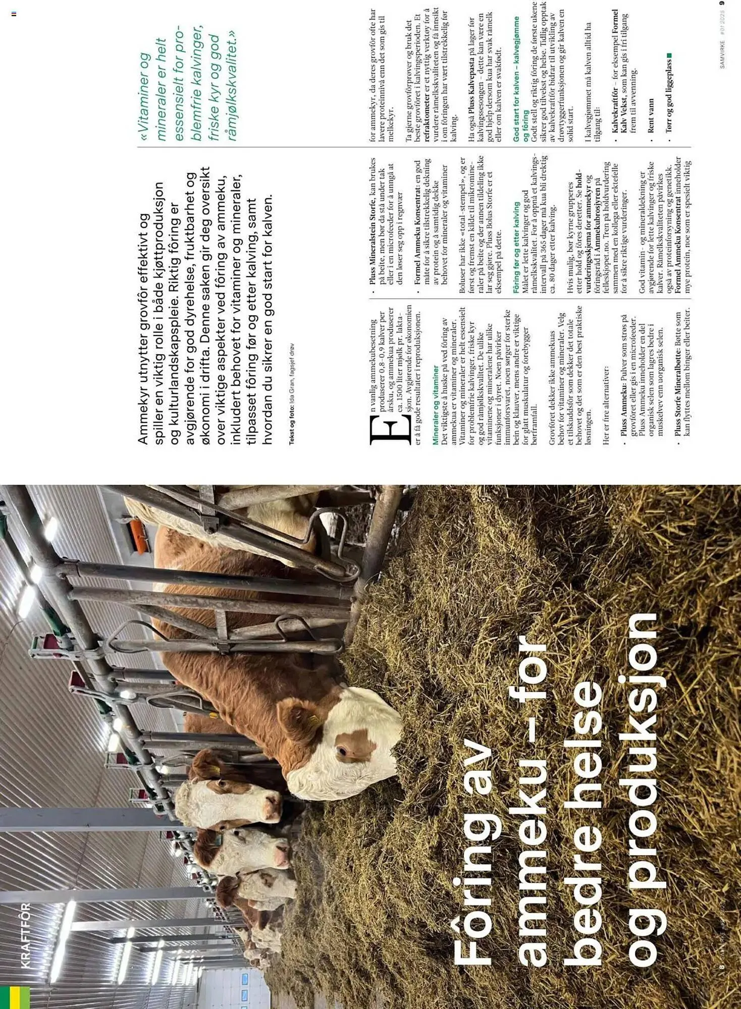 Felleskjøpet Kundeavis fra 1. mars til 31. mars 2025 - kundeavisside 5