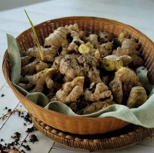 Ginger Anti-Flass Sjampo