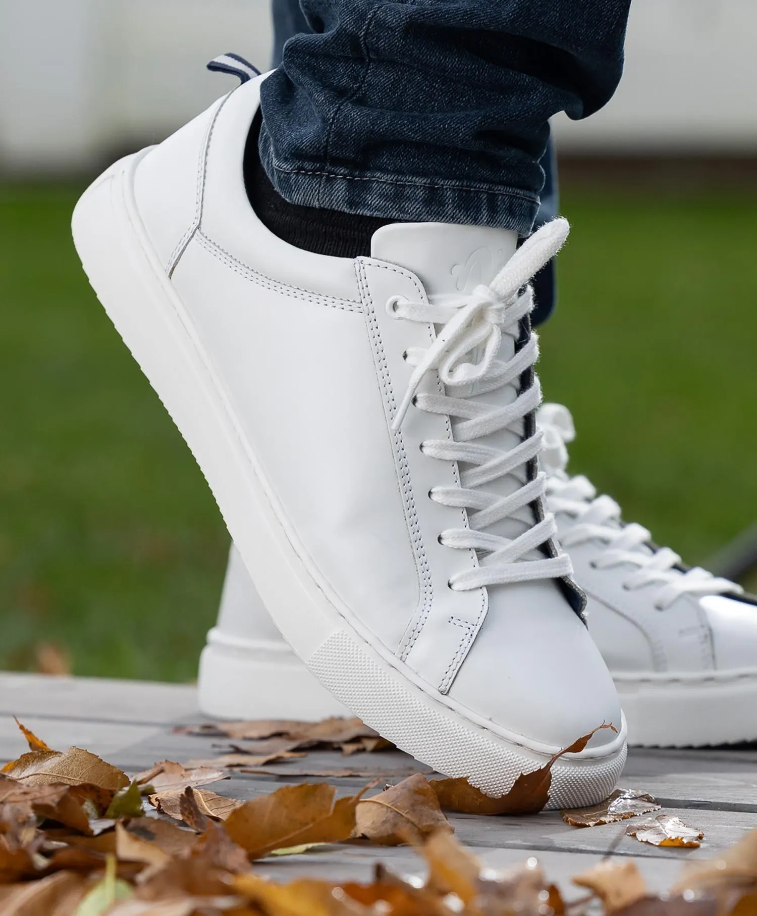 Noodles Lightpoint Herre