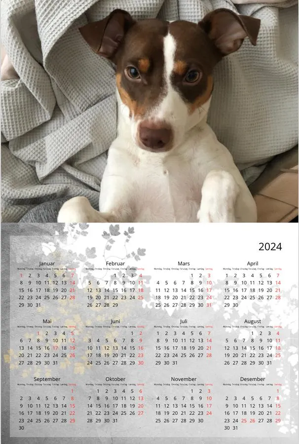 Plakatkalender | Liten (A4) | Max