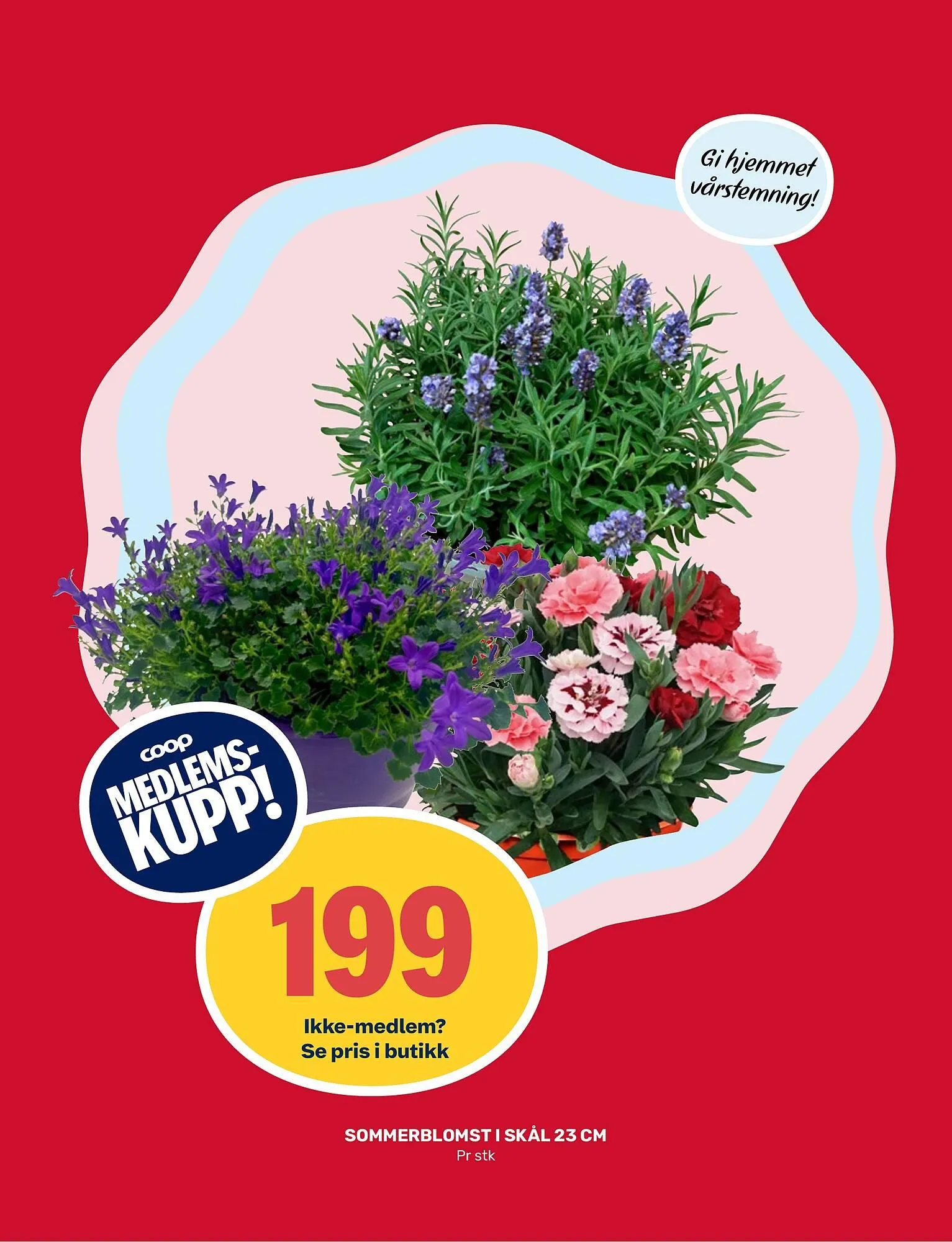 Matkroken fra 11. mai til 17. mai 2026 - kundeavisside 11