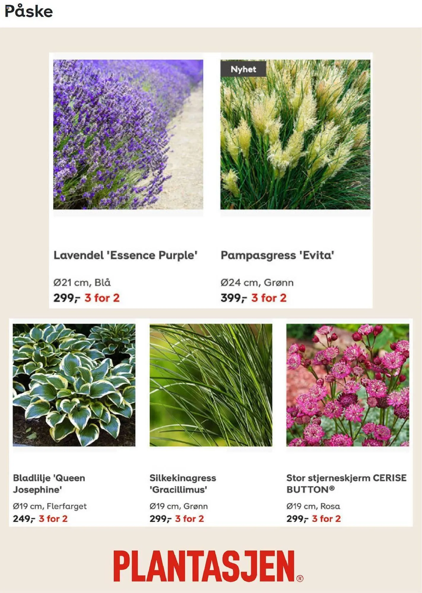 Plantasjen Kundeavis fra 6. september til 26. september 2023 - kundeavisside 5