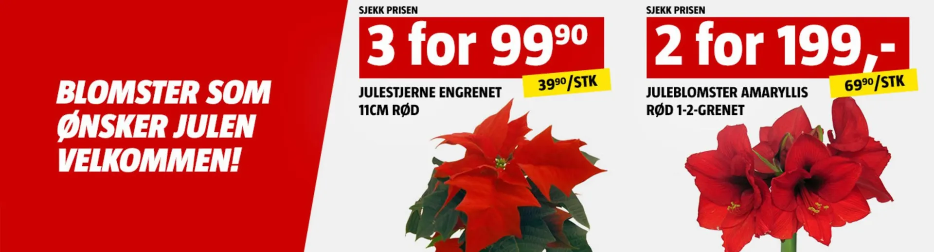 Bauhaus kundeavis fra 3. desember til 5. desember 2025 - kundeavisside 3