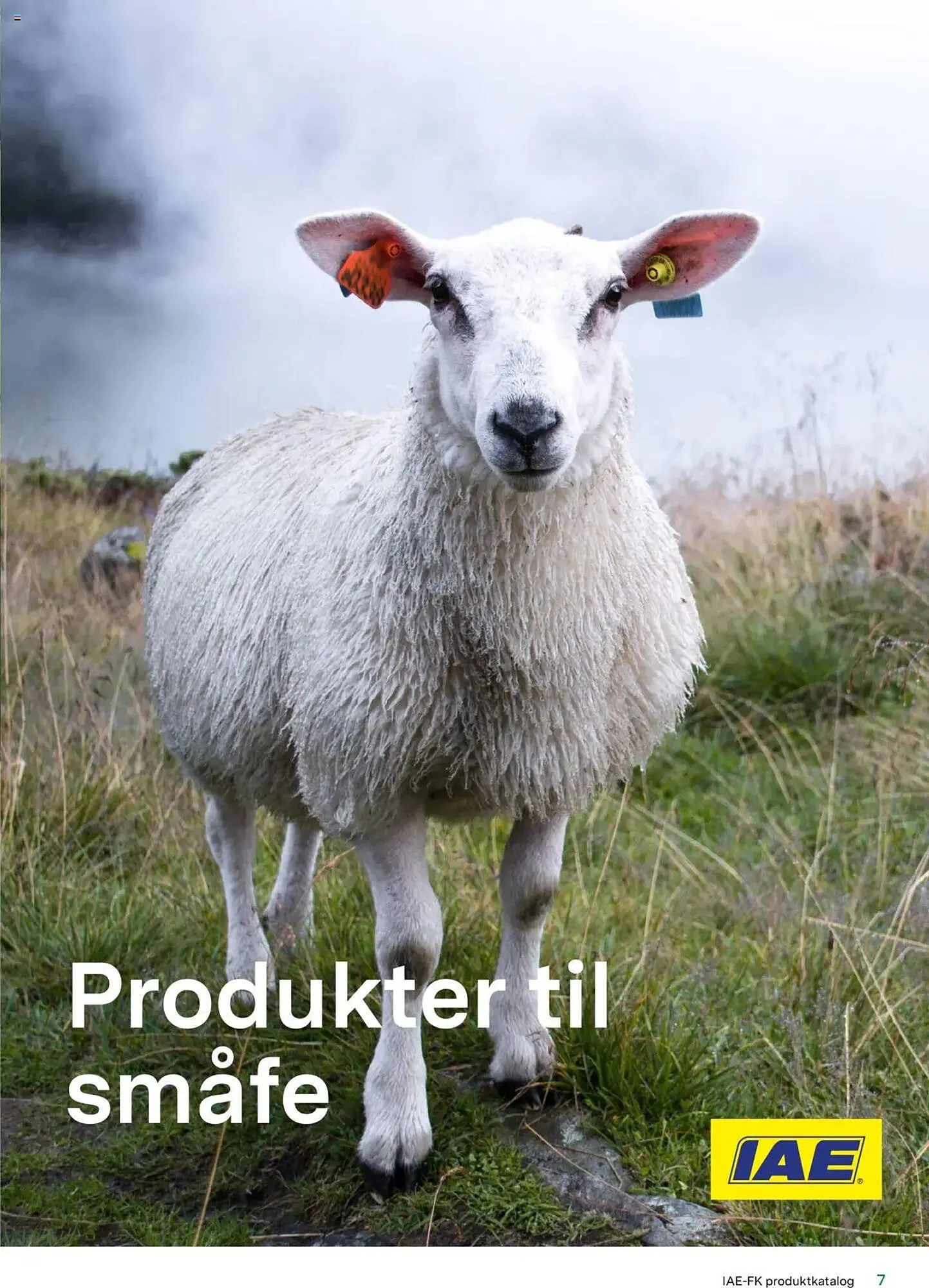 Felleskjøpet Kundeavis fra 13. januar til 31. desember 2025 - kundeavisside 7