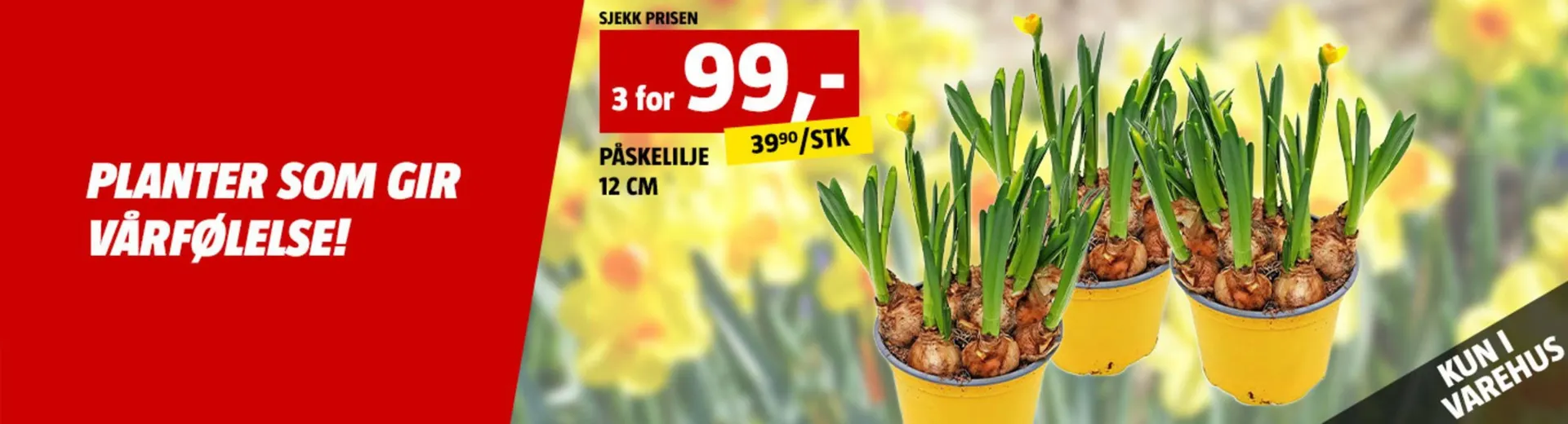 Bauhaus kundeavis fra 26. mars til 9. april 2026 - kundeavisside 5