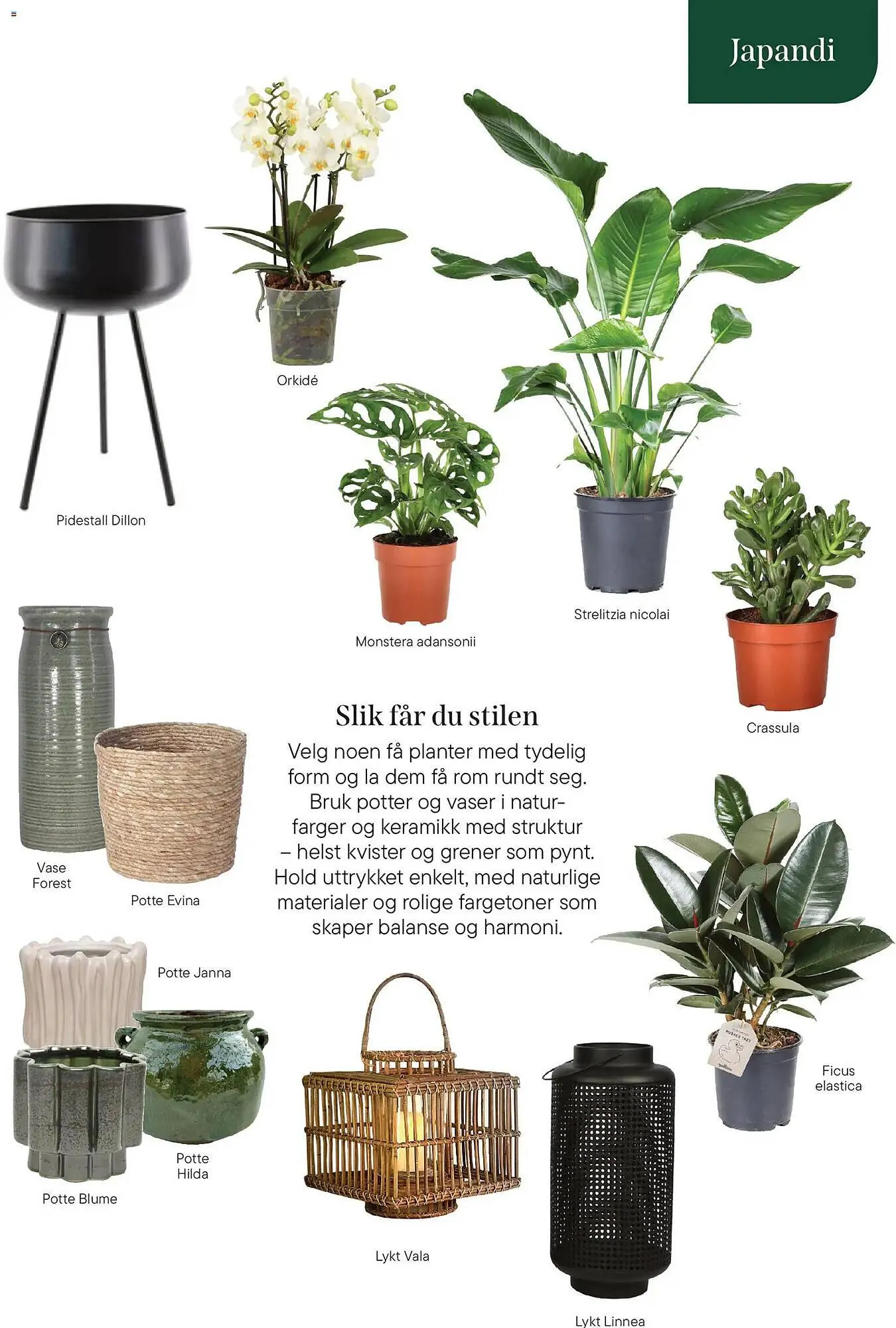 Plantasjen kundeavis fra 8. januar til 3. april 2026 - kundeavisside 19