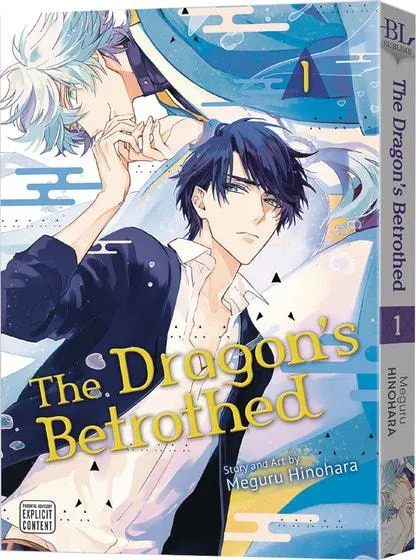 The Dragon's Betrothed, Vol. 1
