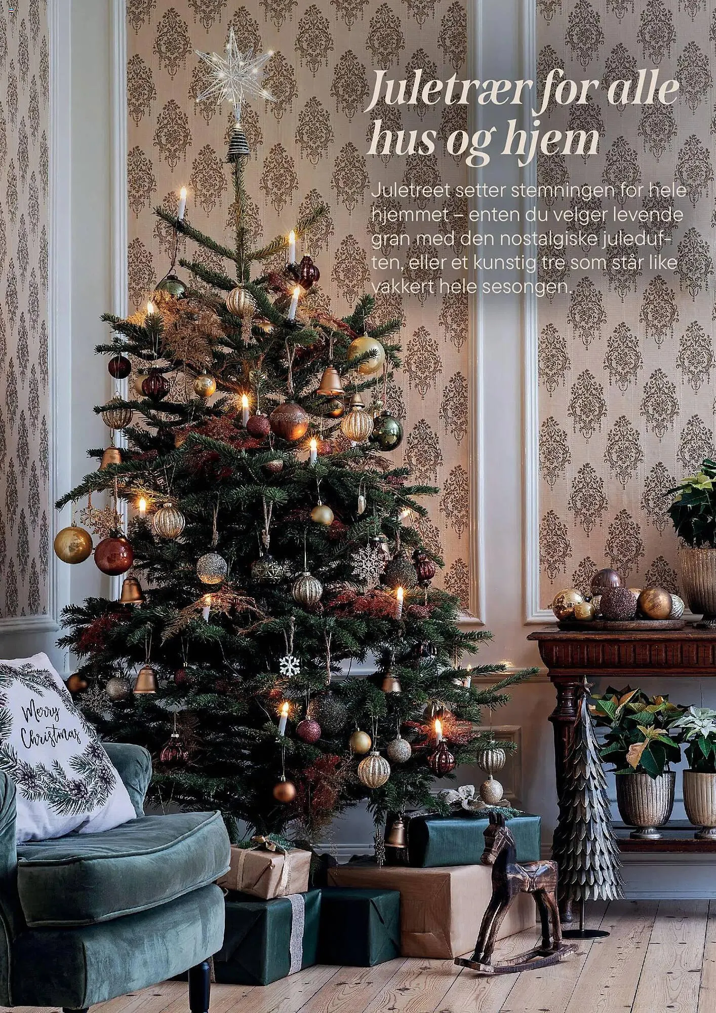 Plantasjen kundeavis fra 2. desember til 9. januar 2026 - kundeavisside 16