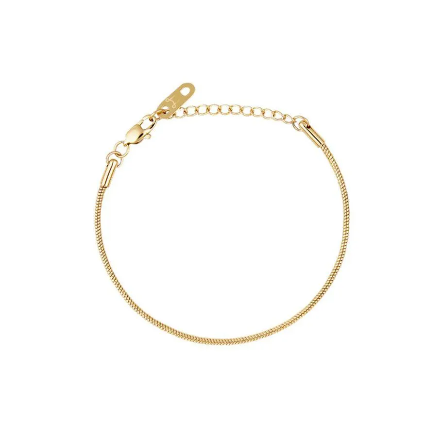 Slangearmbånd Gullfarget Stål Liten