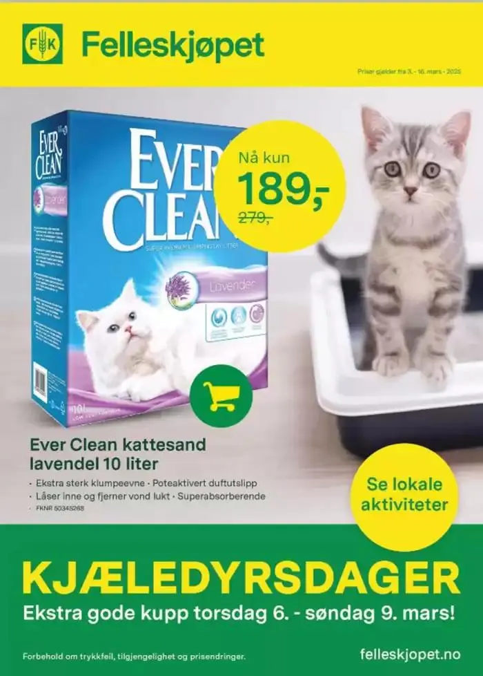 Kjæledyrsdager - 1