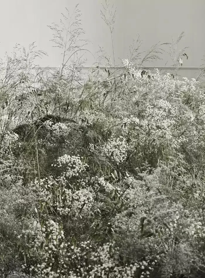 The journal fra 30. oktober til 30. november 2024 - kundeavisside 91